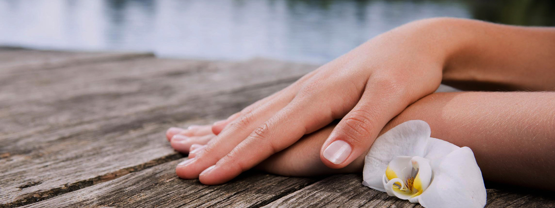 浪漫樱花丝足会所——服务项目